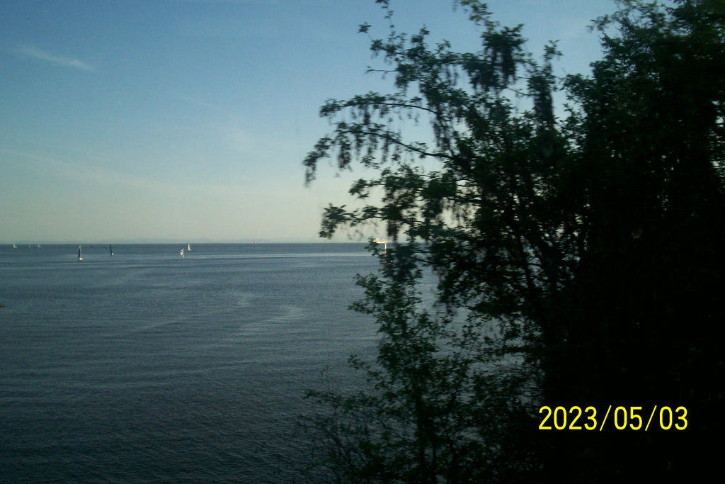 Kodak Easyshare C310 Digital Camera in Sliver