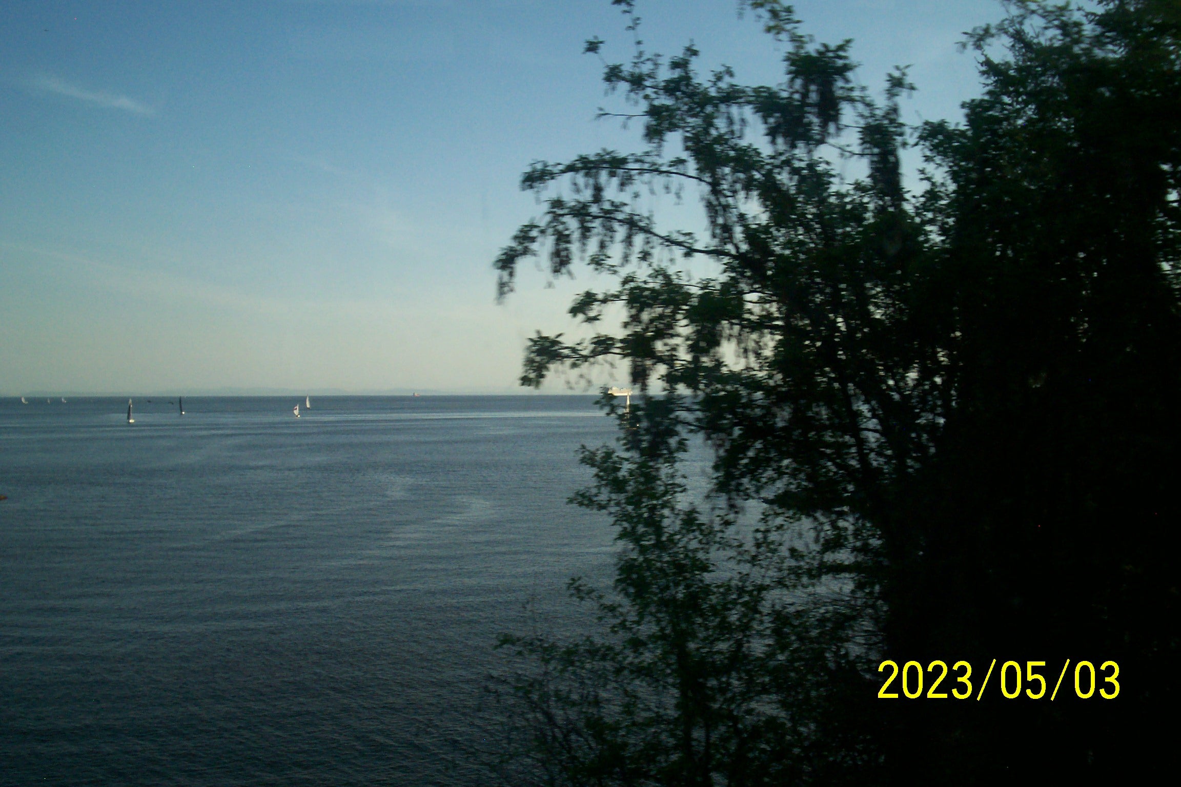 Kodak Easyshare C310 Digital Camera in Sliver
