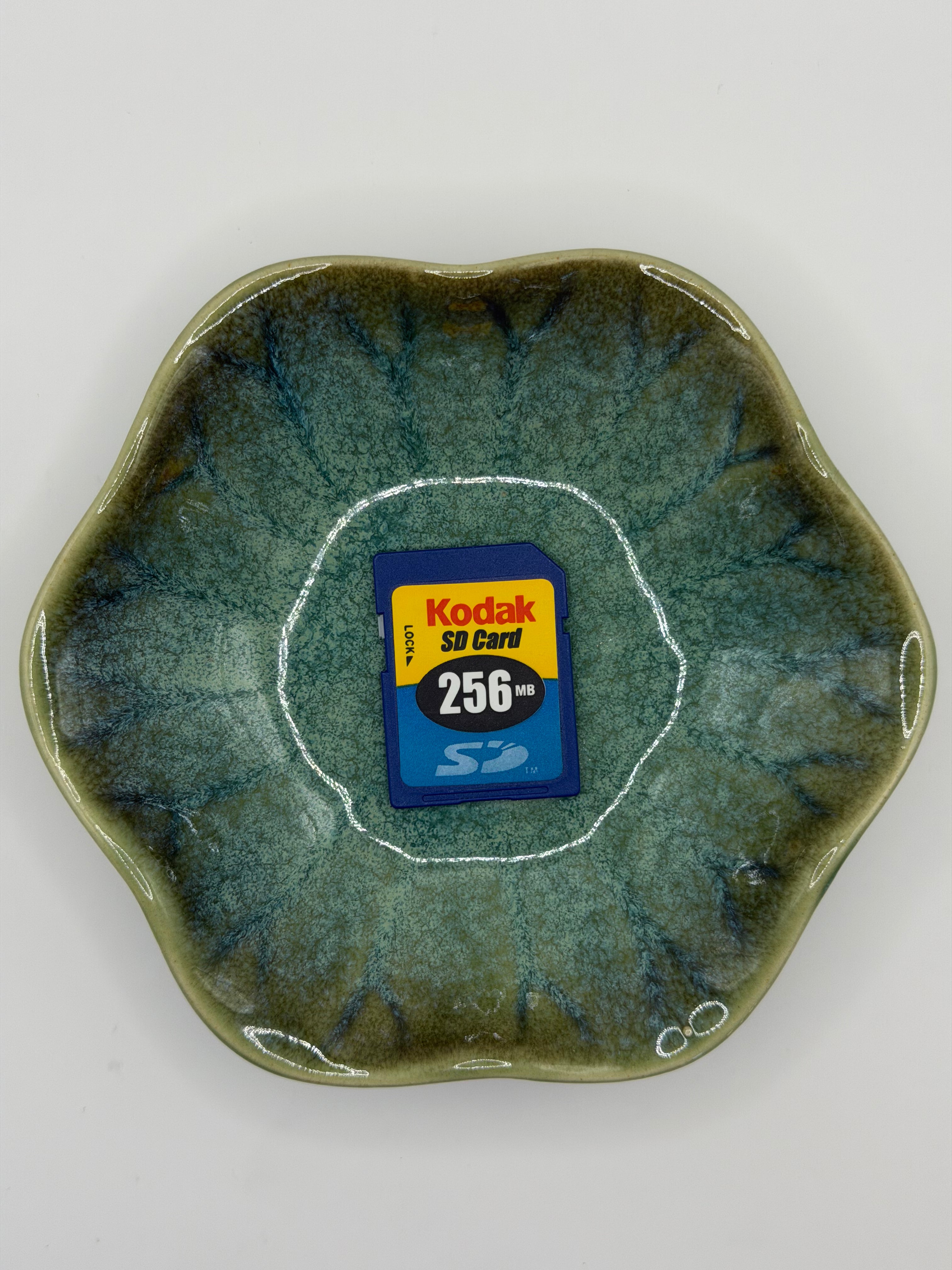 Kodak Memory SD Card 256GB